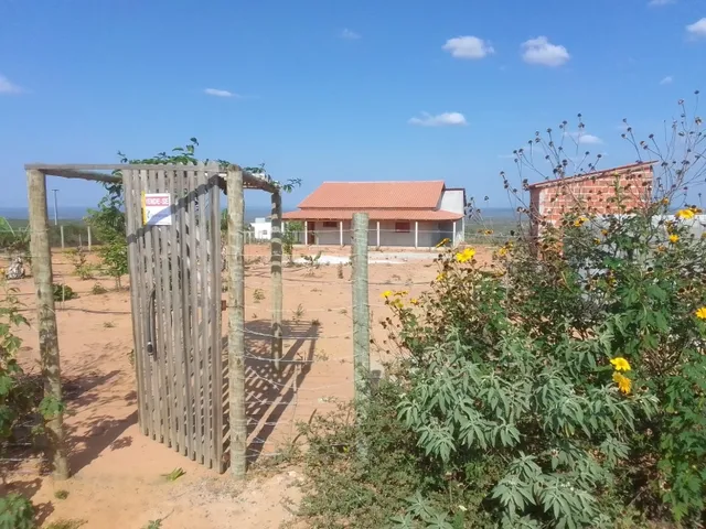 Imagem 7: Vendo Sítio / Chácara