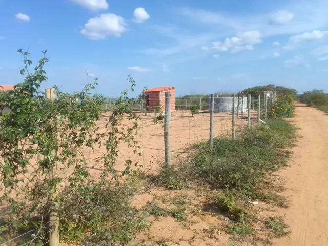 Imagem 9: Vendo Sítio / Chácara