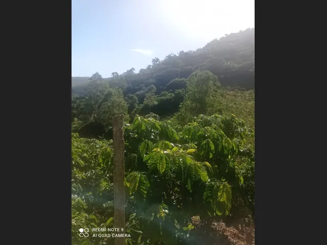 Imagem: Sitio de 18 Hectares Localizado em Pancas/Es