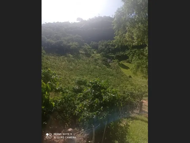 Imagem 3: Sitio de 18 Hectares Localizado em Pancas/Es Situado a 9 Km da Cidade - Parcelas Anuais