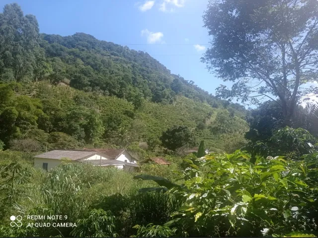 Imagem 11: Sitio de 18 Hectares Localizado em Pancas/Es Situado a 9 Km da Cidade - Parcelas Anuais