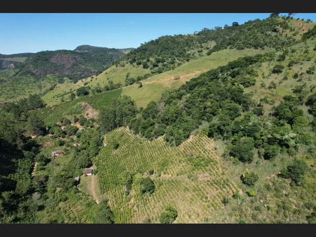 Imagem 9: Sitio de 18 Hectares Localizado em Pancas/Es Situado a 9 Km da Cidade - Parcelas Anuais