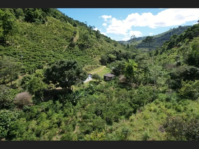 Imagem 7: Sitio de 18 Hectares Localizado em Pancas/Es Situado a 9 Km da Cidade - Parcelas Anuais