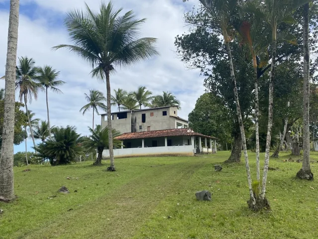 Imagem: Fazenda em Jaguaripe