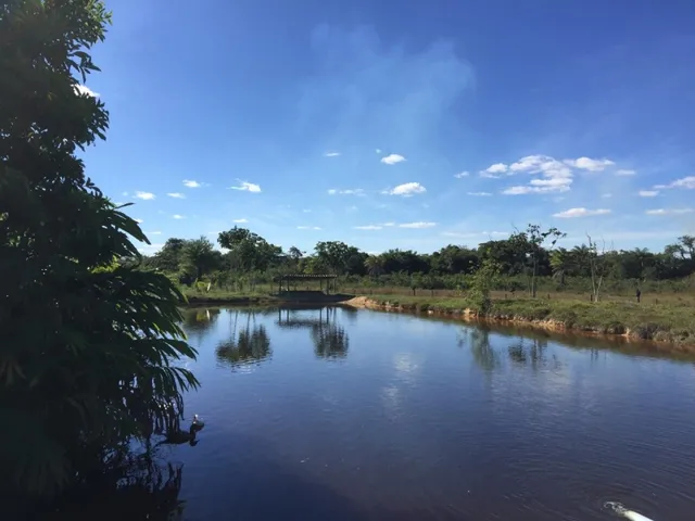 Imagem: Fazenda em Minas Gerais