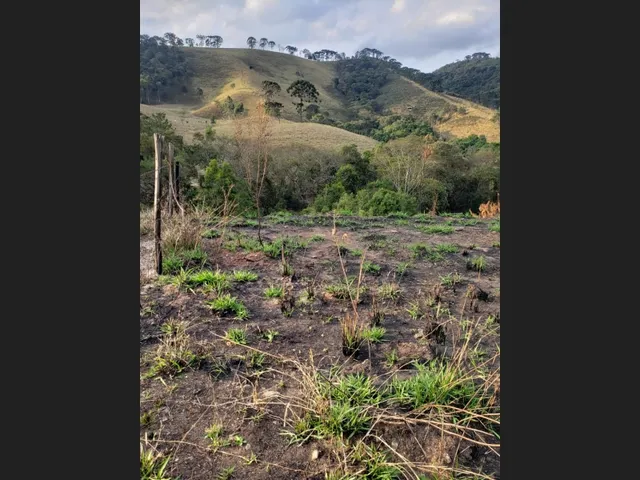 Imagem: Terreno Cachoeirinha - Oportunidade!