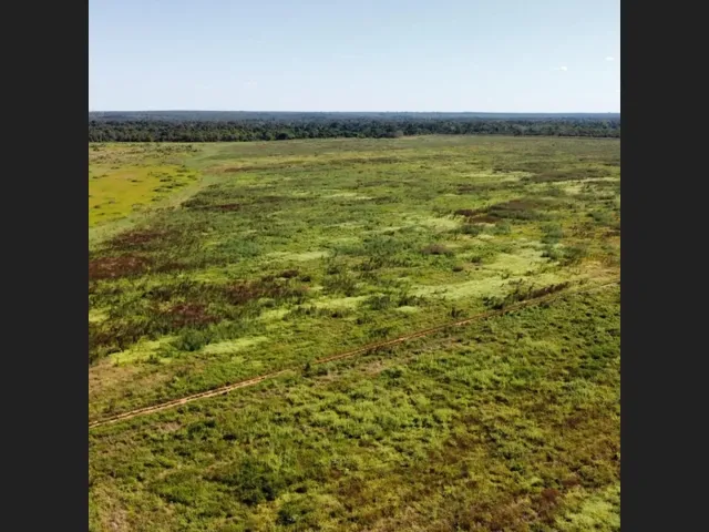 Imagem: 669 Alqs Plantando a 5 Anos Rios Plana Região