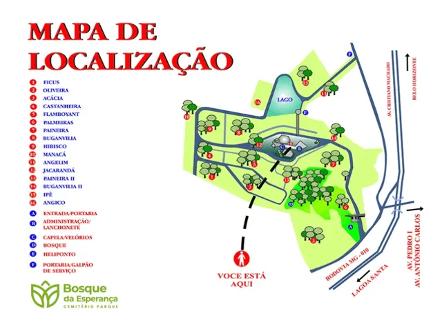 Imagem: Jazigo Demarcado - Qd Ficus no Cemiterio