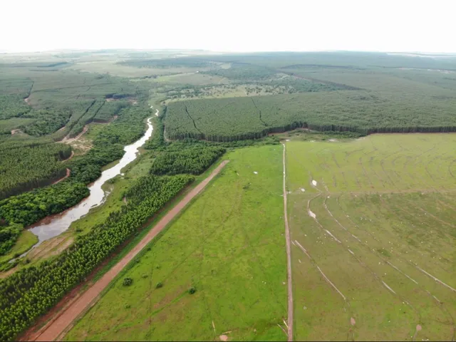 Imagem: Fazenda 11.000 Hectares -Campo Grande Ms
