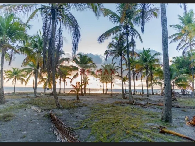 Imagem: Terreno Pé na Areia em Ilha Paradisíaca