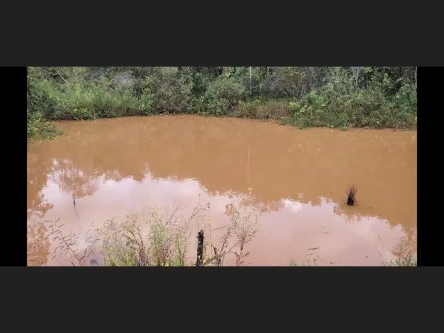Imagem 4: Sítio de 9 Há em Piedade Gerais Minas Gerais