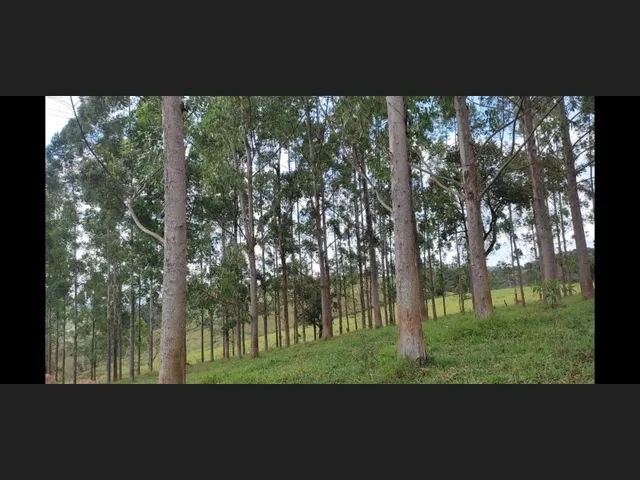 Imagem 5: Sítio de 9 Há em Piedade Gerais Minas Gerais