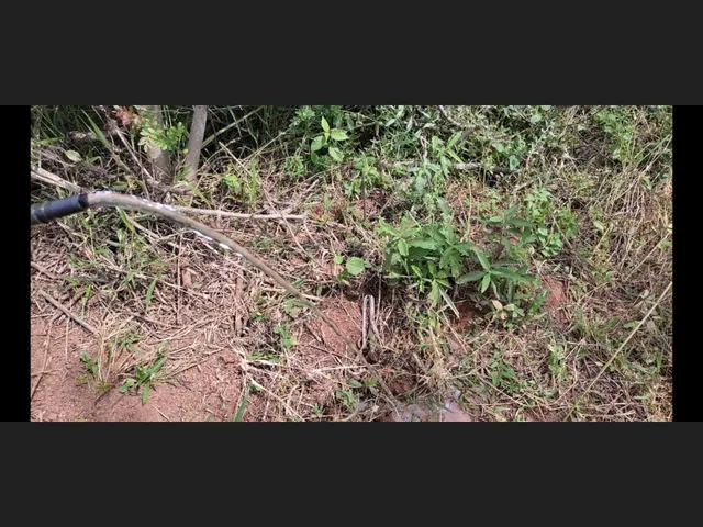Imagem 8: Sítio de 9 Há em Piedade Gerais Minas Gerais
