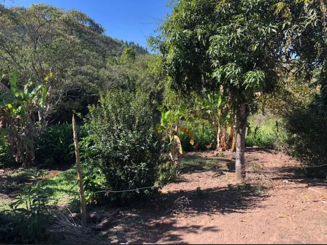 Imagem 14: Sítio de 10 Mil Mt em Carmopolis de Minas Mg