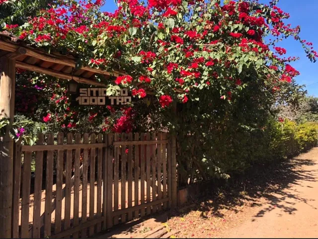 Imagem 13: Sítio de 10 Mil Mt em Carmopolis de Minas Mg