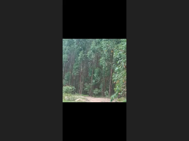 Imagem: Fazenda de 164 Há em Ituiutaba Mg