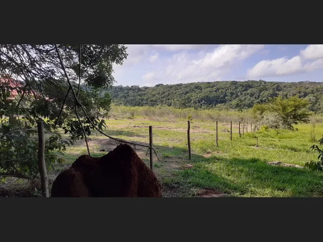 Imagem 3: Vende-Se Terreno em São Thomé das Letras