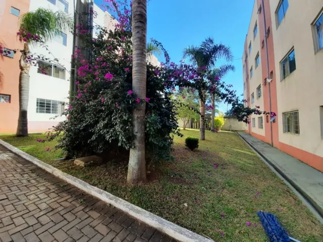 Imagem 9: Apartamento / Studio À Venda em Uvaranas - Universiflat Plus em Frente a Uepg
