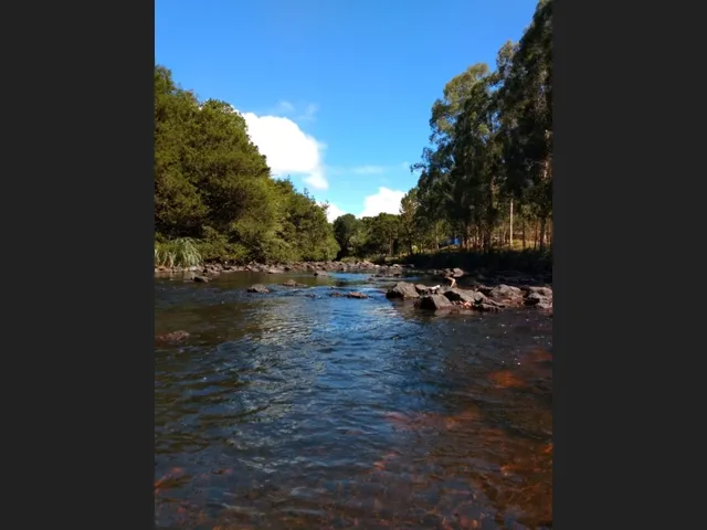 Imagem 8: Propriedade Rural com 24 Hectares em Sao Frabcisco de Paula
