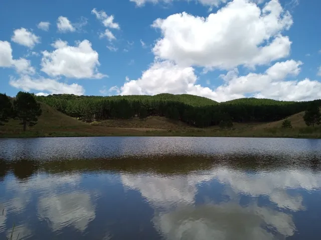 Imagem 3: Propriedade Rural com 24 Hectares em Sao Frabcisco de Paula