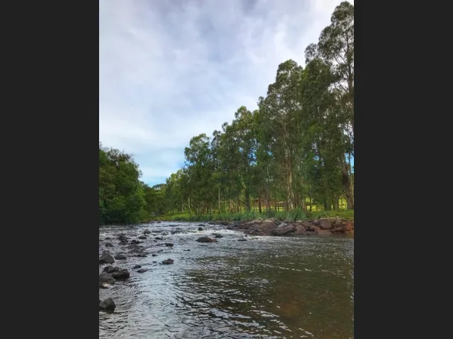 Imagem 4: Propriedade Rural com 24 Hectares em Sao Frabcisco de Paula