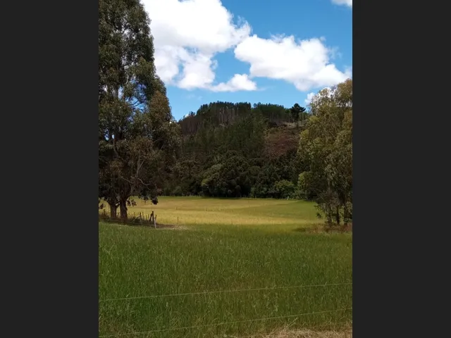 Imagem 14: Propriedade Rural com 24 Hectares em Sao Frabcisco de Paula
