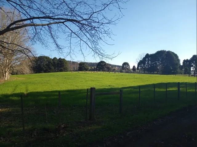 Imagem 2: Propriedade Rural com 24 Hectares em Sao Frabcisco de Paula