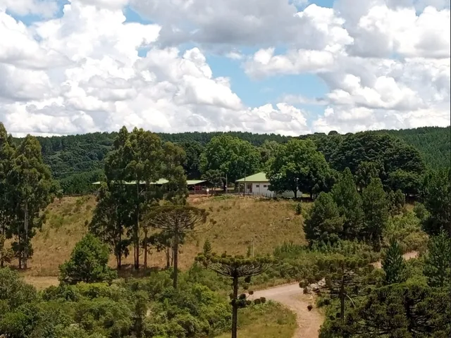 Imagem 12: Propriedade Rural com 24 Hectares em Sao Frabcisco de Paula