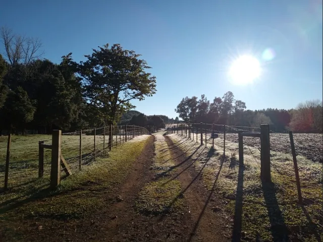 Imagem 13: Propriedade Rural com 24 Hectares em Sao Frabcisco de Paula