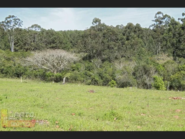 Imagem 5: Lindo Sitio de Lazer em Viamão