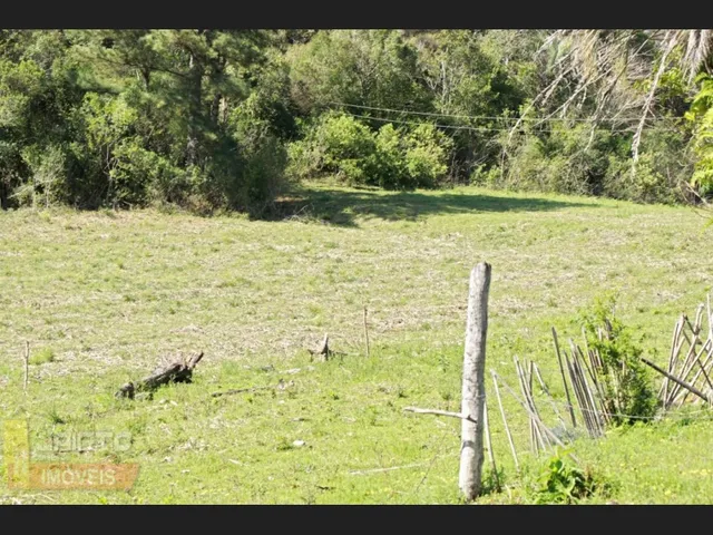Imagem 14: Lindo Sitio de Lazer em Viamão