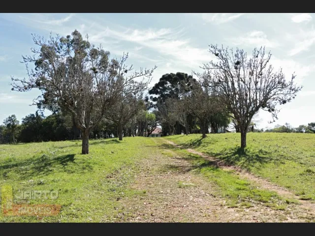 Imagem 8: Lindo Sitio de Lazer em Viamão