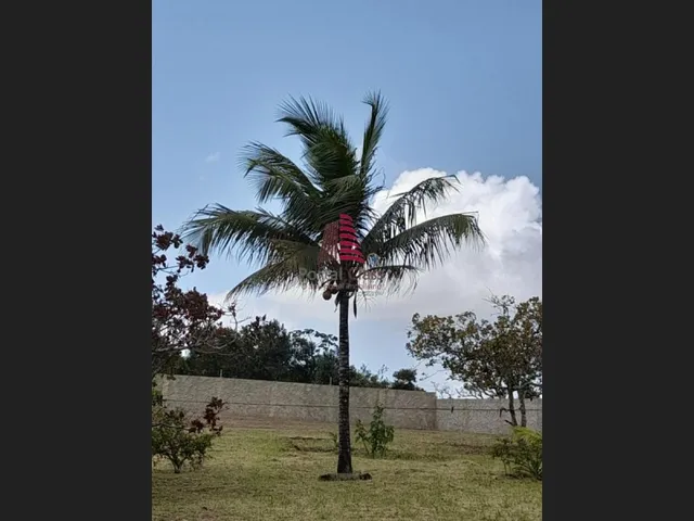 Imagem 6: Por R$ 360 Mil Excelente Chacará C/2 Casas, 4 Tarefas na Cidade de...