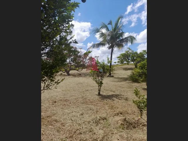 Imagem 4: Por R$ 360 Mil Excelente Chacará C/2 Casas, 4 Tarefas na Cidade de...