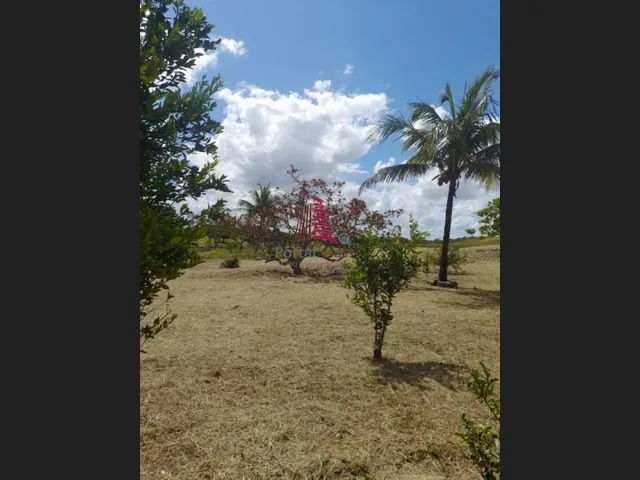 Imagem 2: Por R$ 360 Mil Excelente Chacará C/2 Casas, 4 Tarefas na Cidade de...