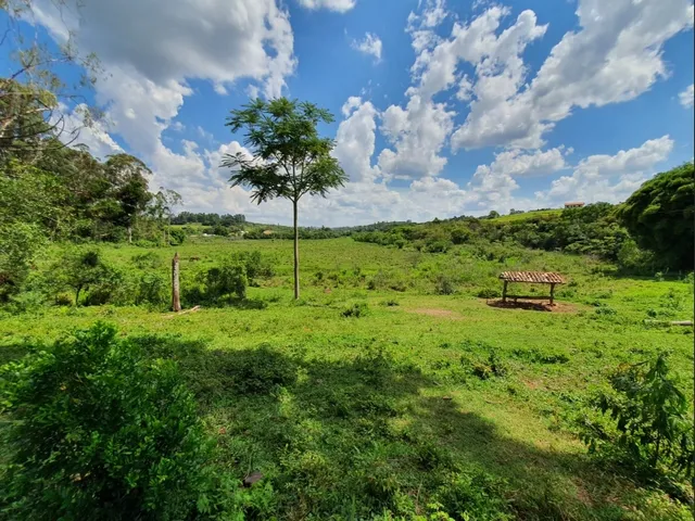 Imagem 8: Fazendinha de 12 Há em Carmopolis de Minas Mg
