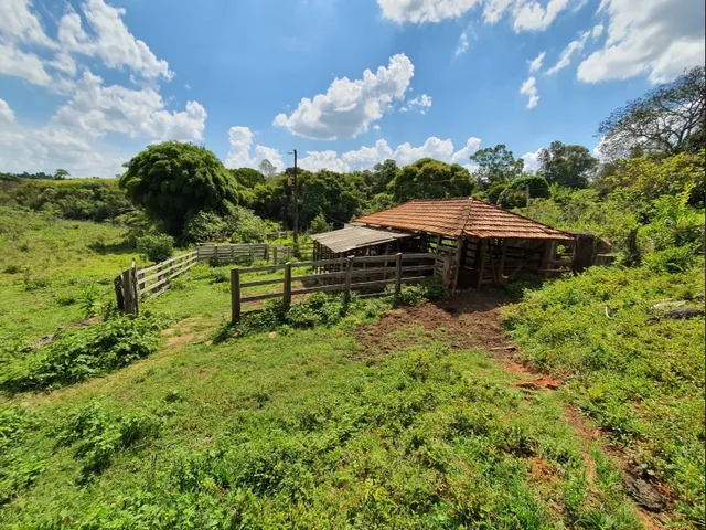 Imagem 4: Fazendinha de 12 Há em Carmopolis de Minas Mg
