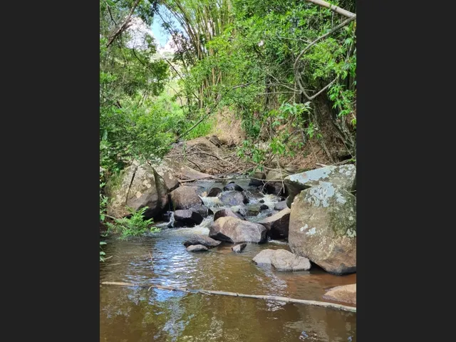 Imagem 15: Fazendinha de 12 Há em Carmopolis de Minas Mg