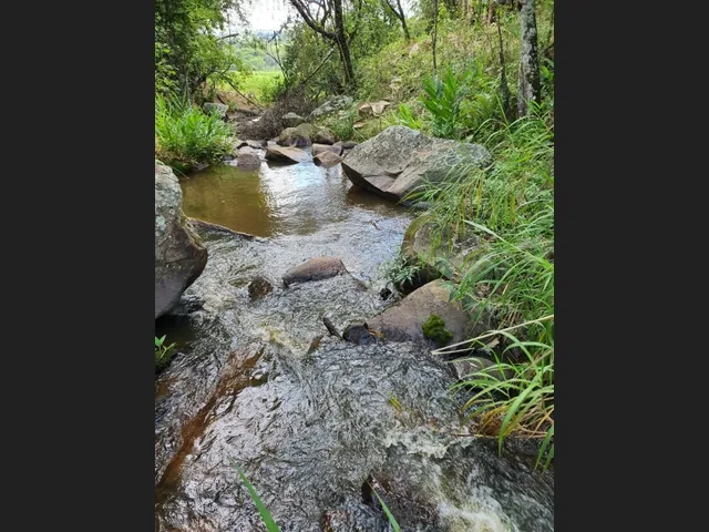 Imagem 5: Fazendinha de 12 Há em Carmopolis de Minas Mg
