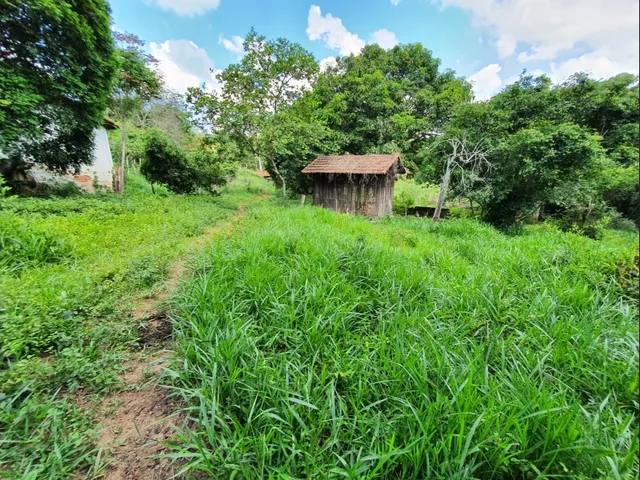 Imagem 11: Fazendinha de 12 Há em Carmopolis de Minas Mg