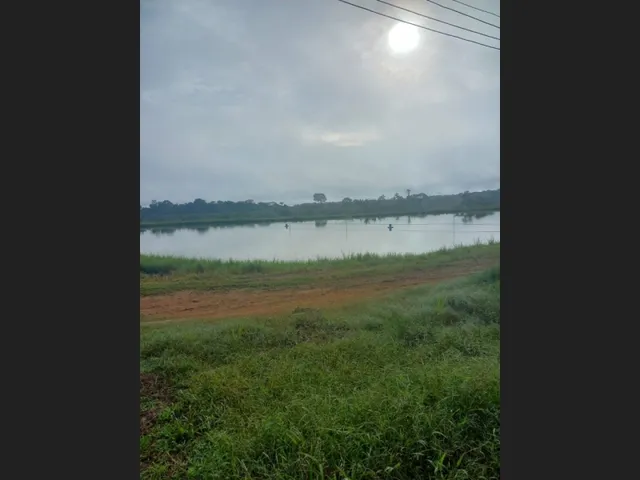 Imagem: Sitio Produtivo no Ramal do Santana Manacapuru