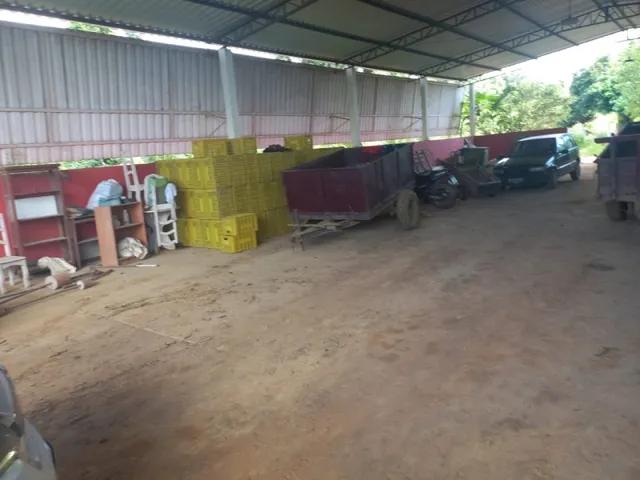 Imagem 15: Sitio Produtivo no Ramal do Santana Manacapuru