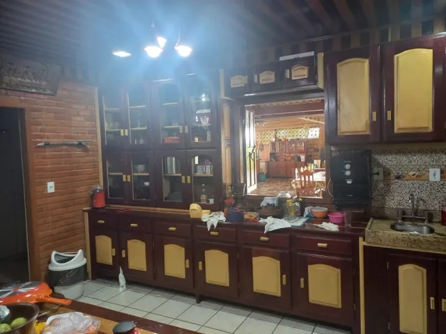 Imagem 14: Sitio Produtivo no Ramal do Santana Manacapuru