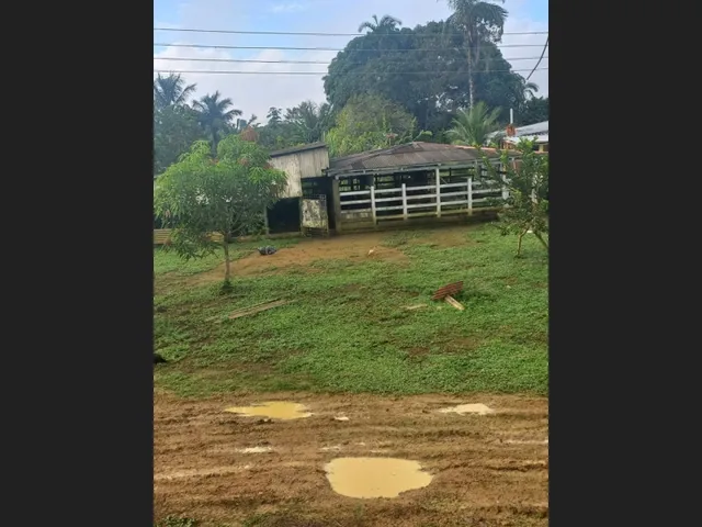 Imagem 2: Sitio Produtivo no Ramal do Santana Manacapuru