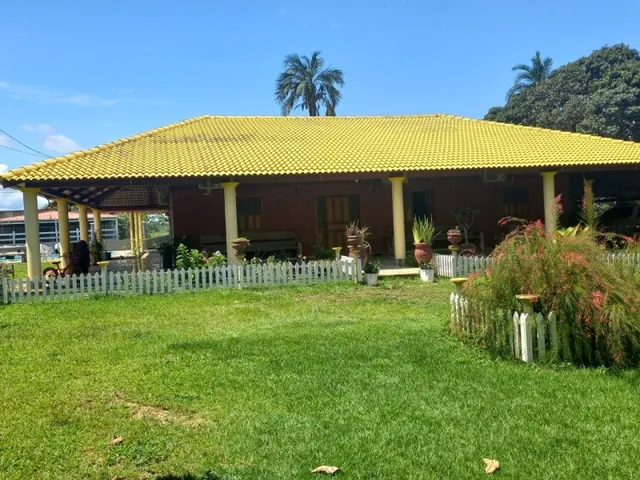 Imagem 12: Sitio Produtivo no Ramal do Santana Manacapuru