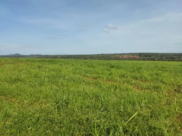 Imagem 10: Fazenda em Barra do Garças-Mt