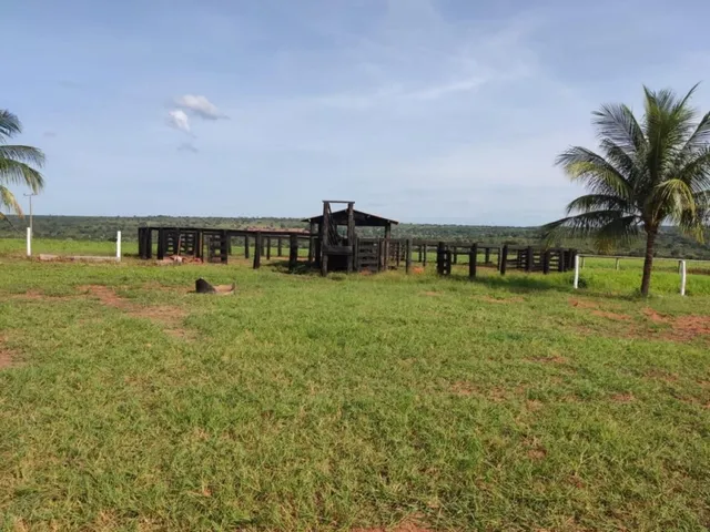 Imagem 3: Fazenda em Barra do Garças-Mt