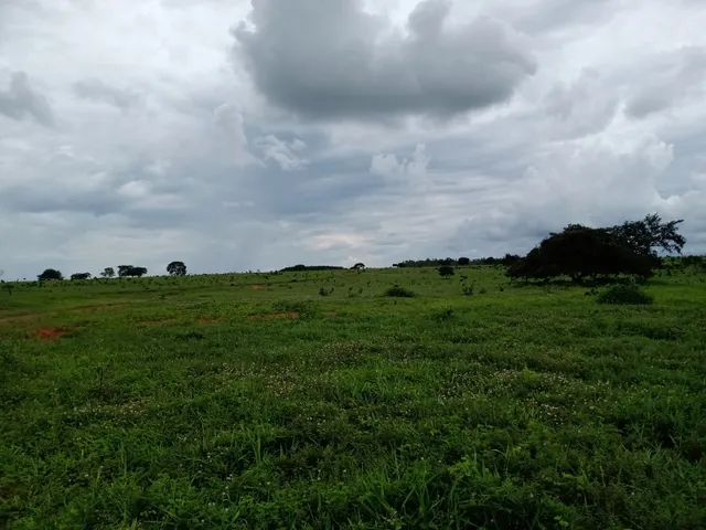 Imagem 7: Fazenda em Barra do Garças-Mt