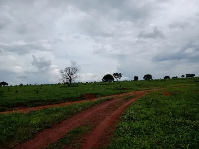 Imagem 5: Fazenda em Barra do Garças-Mt