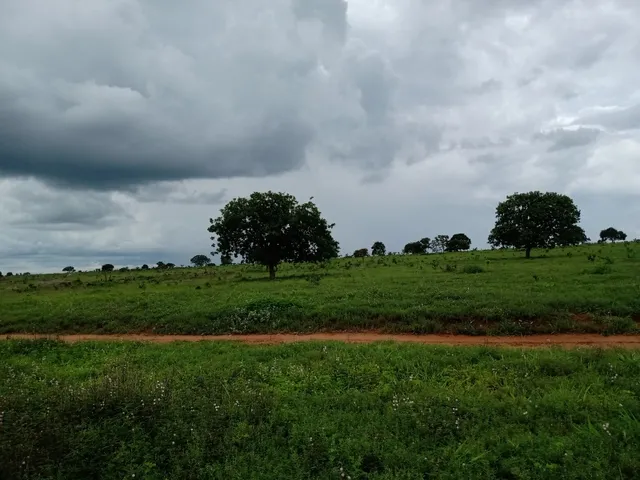 Imagem 8: Fazenda em Barra do Garças-Mt